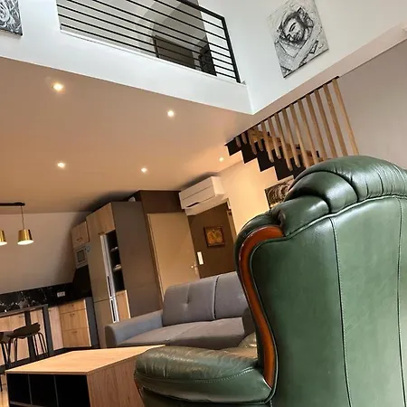 Spacious Flat Close To The Railway Station Troyes Chambre photo