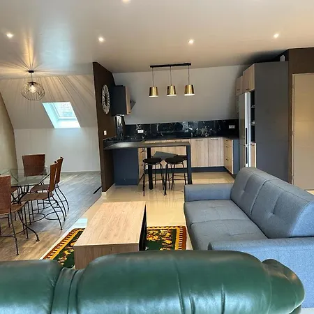 Spacious Flat Close To The Railway Station Troyes Chambre photo